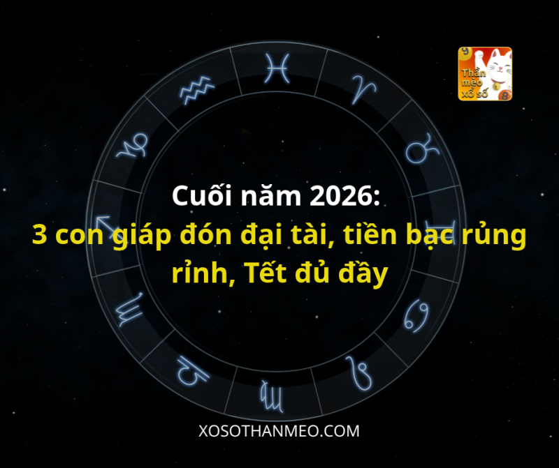 Cuối năm 2026: 3 con giáp đón đại tài, tiền bạc rủng rỉnh, Tết đủ đầy